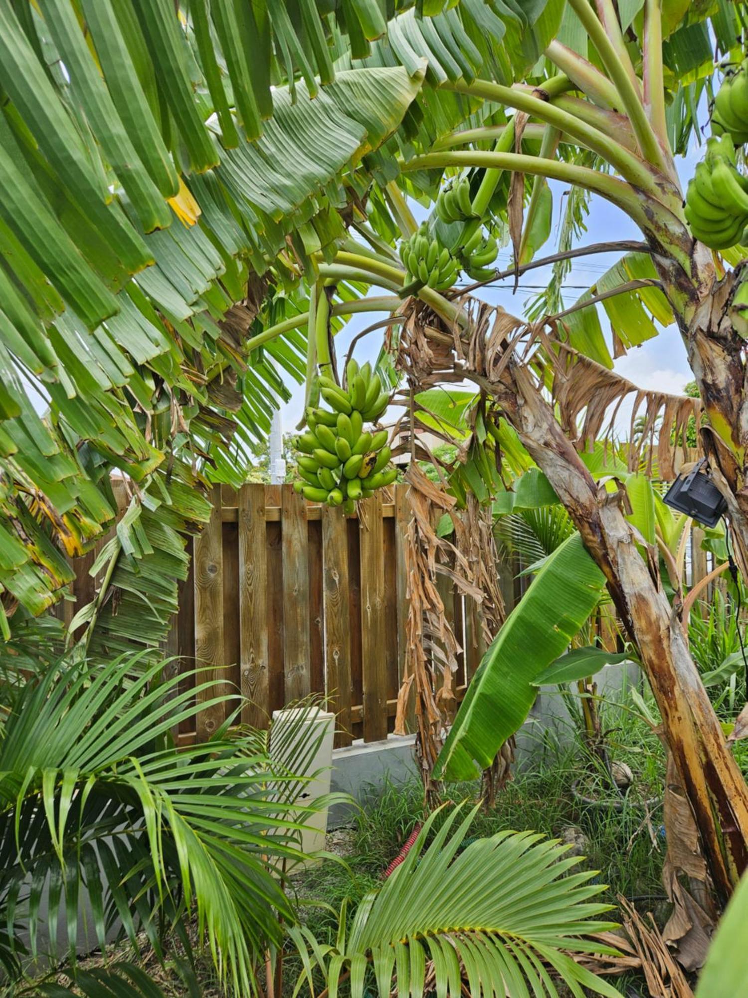 Bungalows Ti Lodge Martinique - Pres De La Plage Avec Jacuzzi Prive Sainte-Luce Extérieur photo